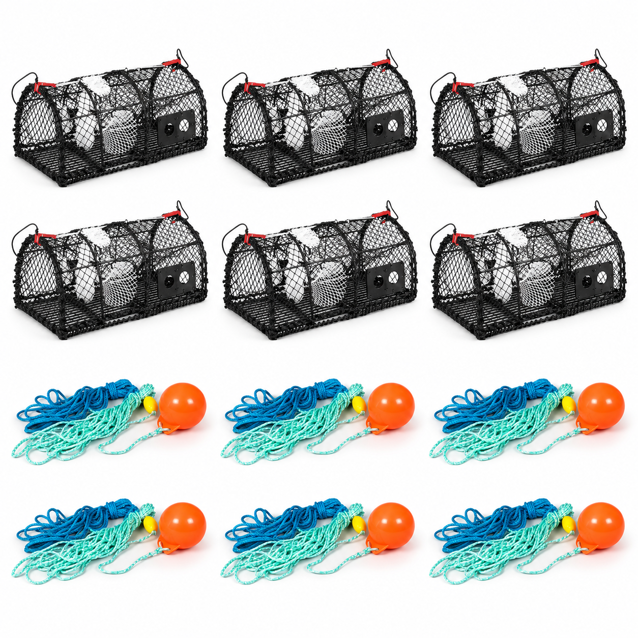 6 Hummerburar med linset