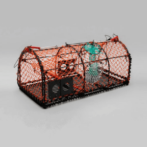 Carapax - Orange Hummertina