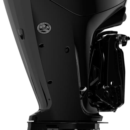 Mercury F100 ELPT EFI