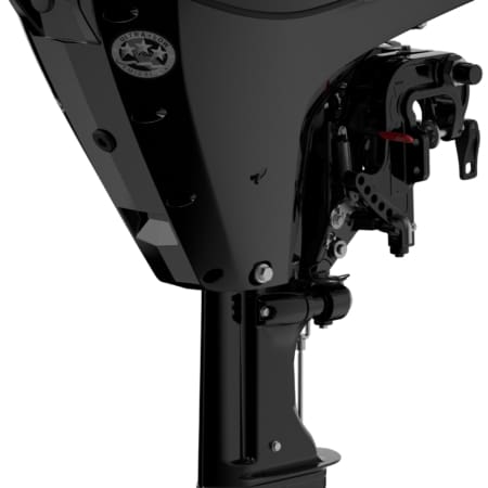 Mercury F100 ELPT EFI